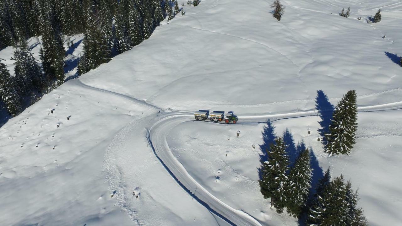Ski In-Ski Out - Gaestehaeuser Saalbach-Hinterglemm - Wallegghof Christianhof Luaran gambar